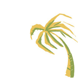 Palm Tree Side Image